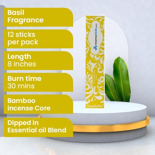 Concentration Incense 8" 12 Sticks Pack: 2 Packs