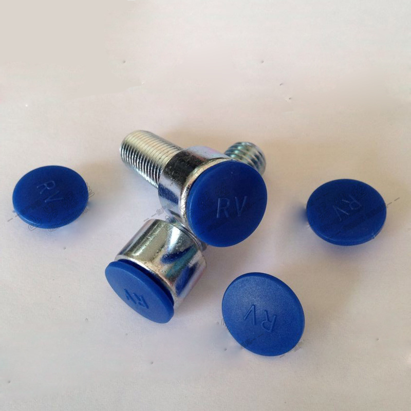 M6 Hex Socket Allen Screw Nut Hexagon Head Cover Cap Protector 30PCS