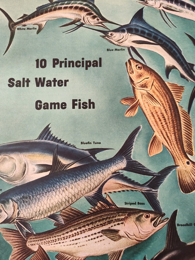 1949 Original Esquire's Fisherman's Folio Special Insert Multipage Feature!