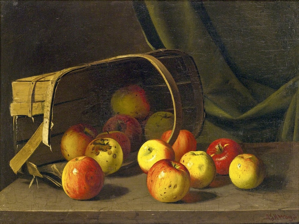 APPLES SPILLING FROM A BASKET Accent Tile Mural Kitchen Bathroom Backsplash 8x6