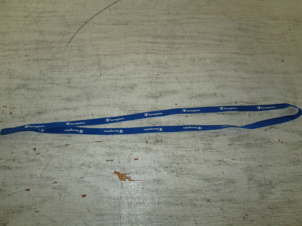 Champion Whistle & 18" Lanyard, GUC