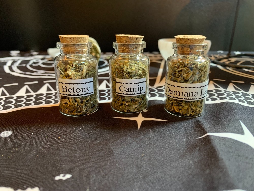 Herbs - Set of 13 - Jars