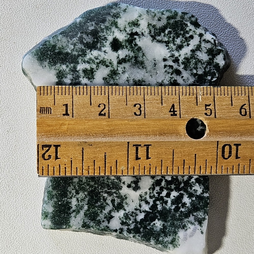 india tree agate lapidary slab