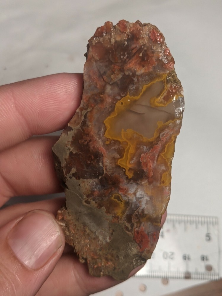 Awesome Orange Red Kentucky Agate Slab Slice