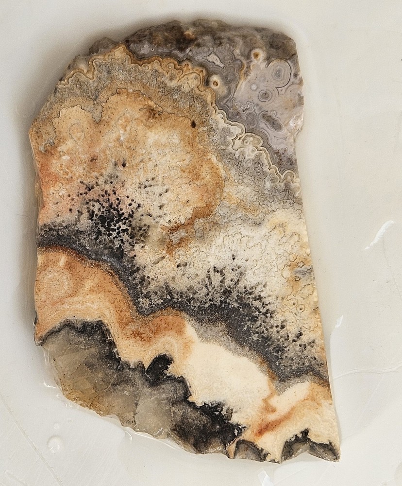 Unknown Interesting Lapidary Slab 27 Grams