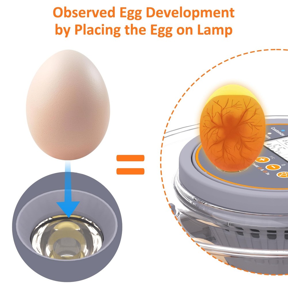 12 Egg Incubator with Automatic Egg Turning and Humidity Control, Intelligent...