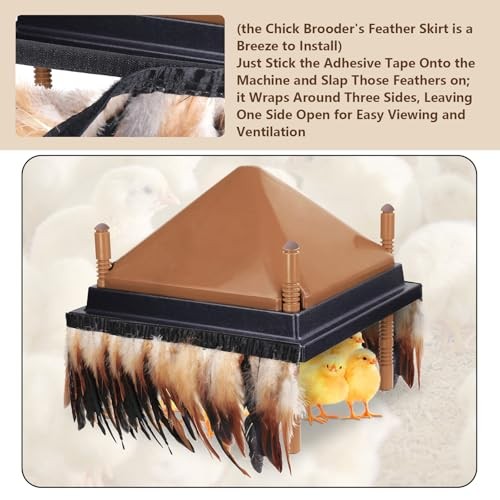 6.5FT Feathers for Chick Brooder Heating Plate,Warm and Secure As 2Pcs 6.5FT