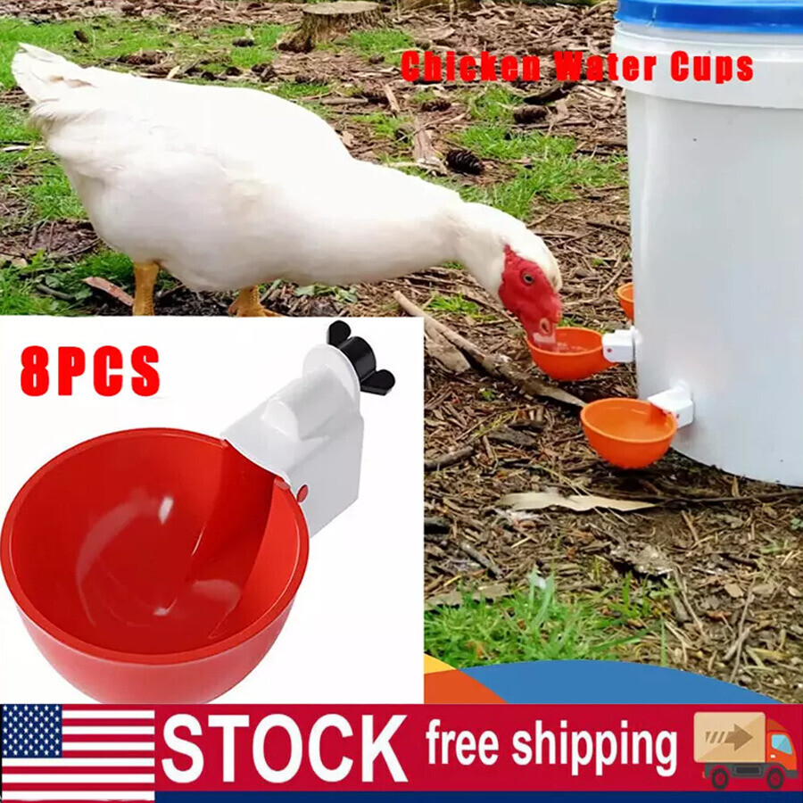 8X Poultry Water Drinking Cups Chicken Hen Plastic Automatic Drinker Feeder