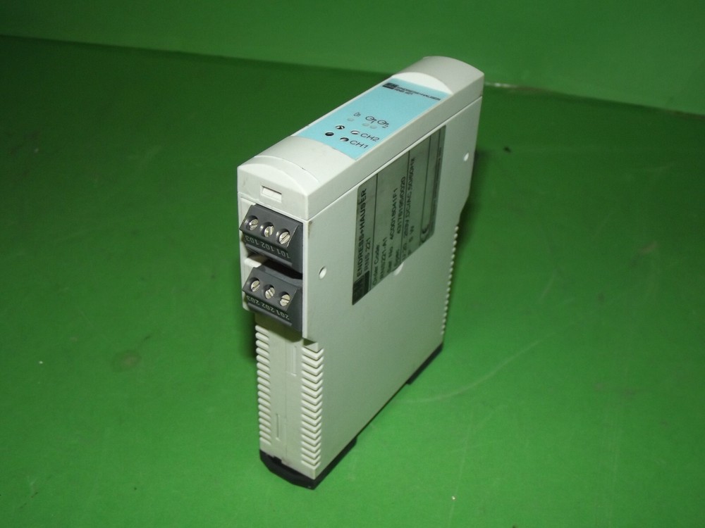 E+H Endress + HAUSER RNS 221