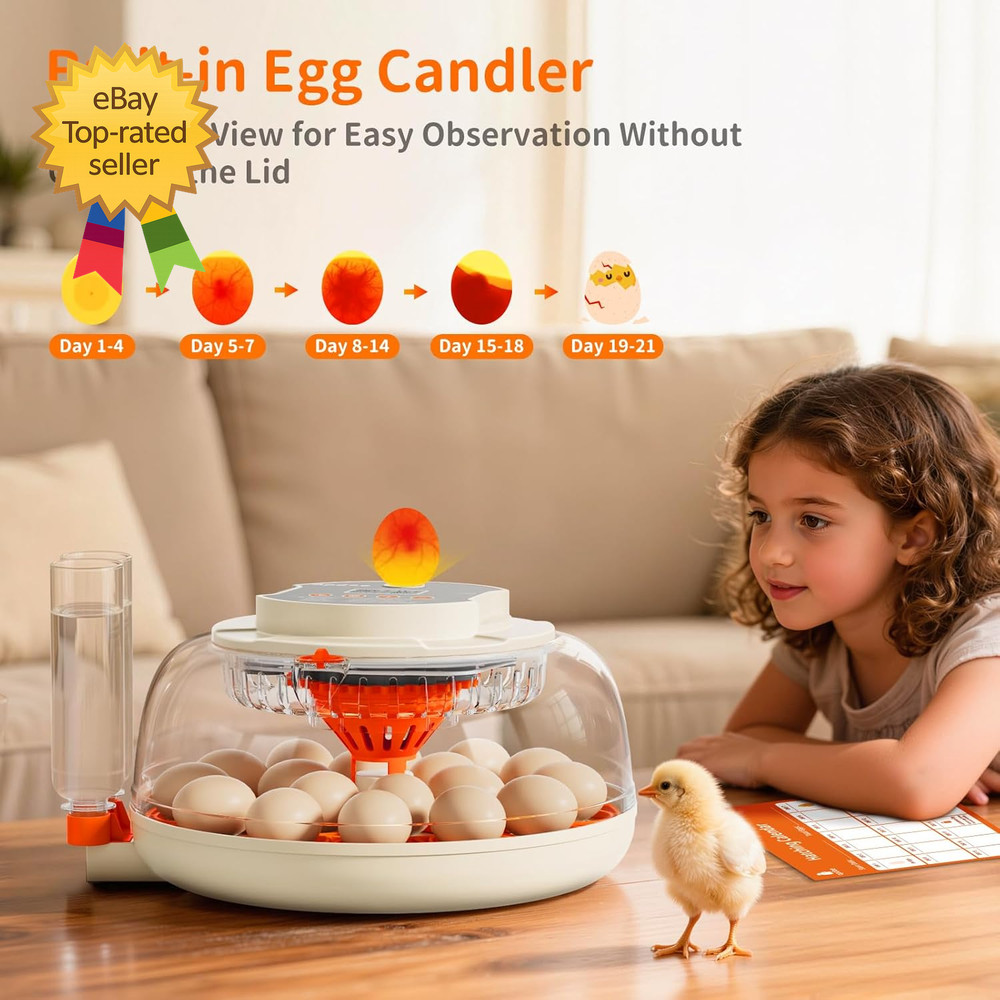 Egg Incubators for Hatching Eggs Temperature and Humidity Control Automatic Egg