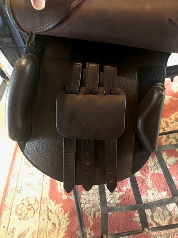 17.5" Treeless Ansur Hunter/Jumper Saddle