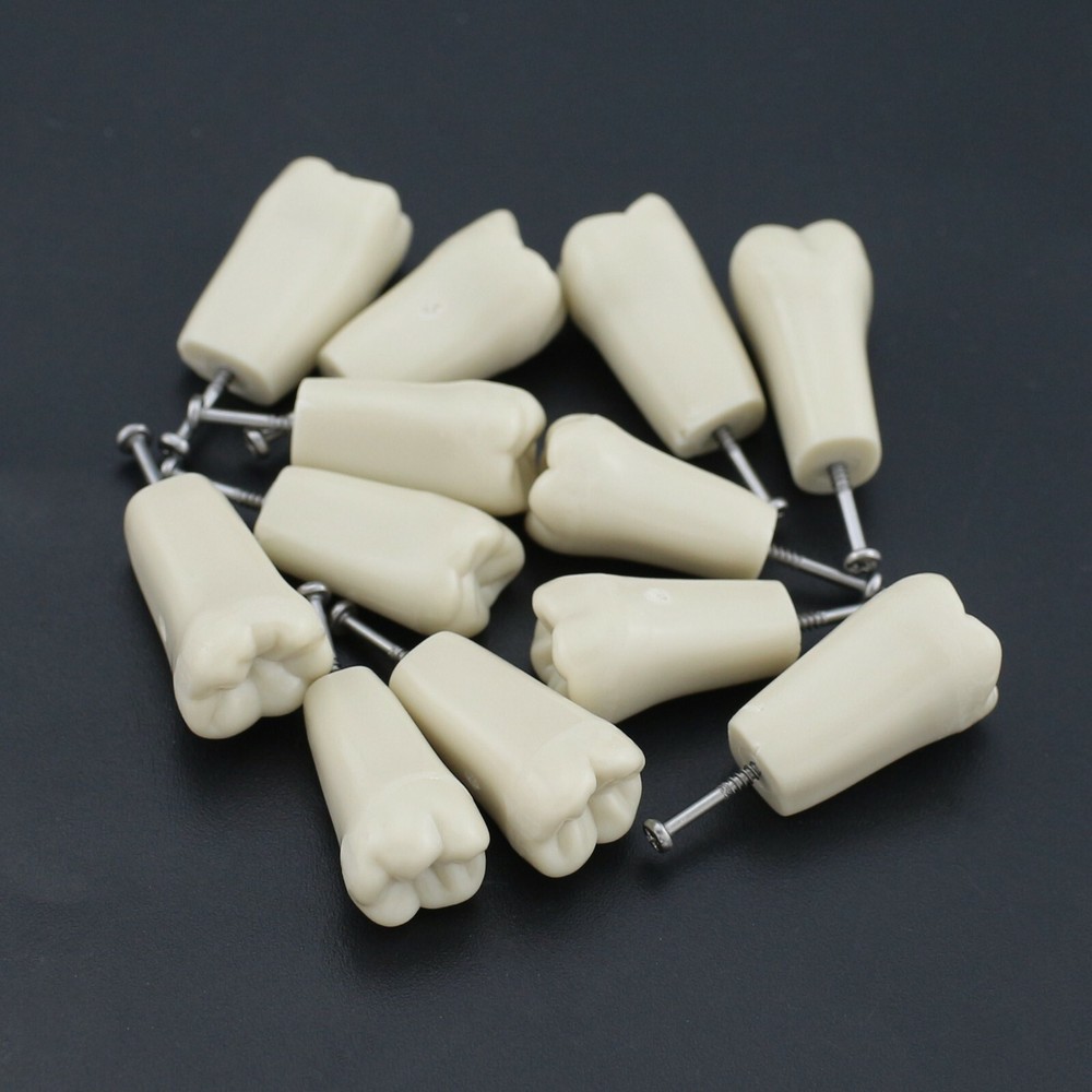 Dental Replacement 32PCS Teeth Typodont Screw-in Model Columbia 860 Type