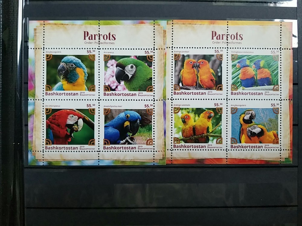 stamps Bashkortostan 2019 Parrors 8 blocks MNH