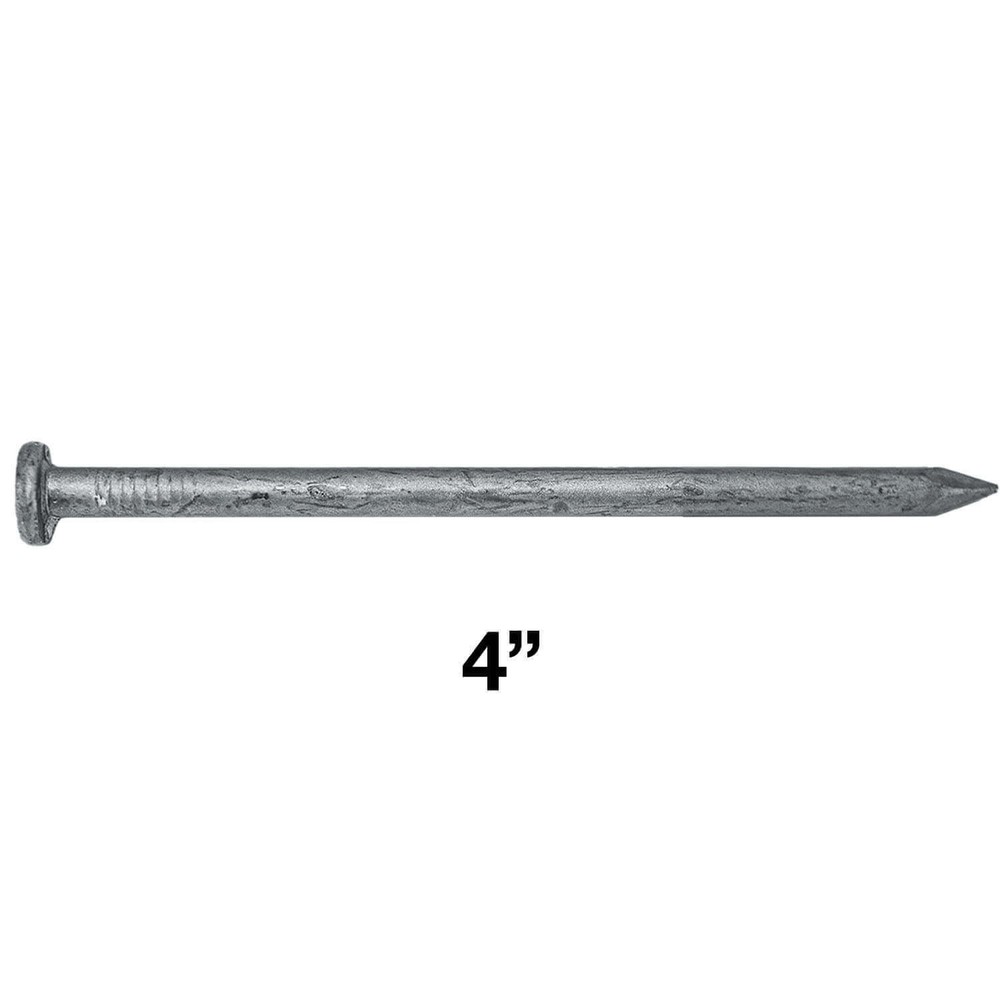 Exterior Hot Dipped Galvanized Common Framing Nail