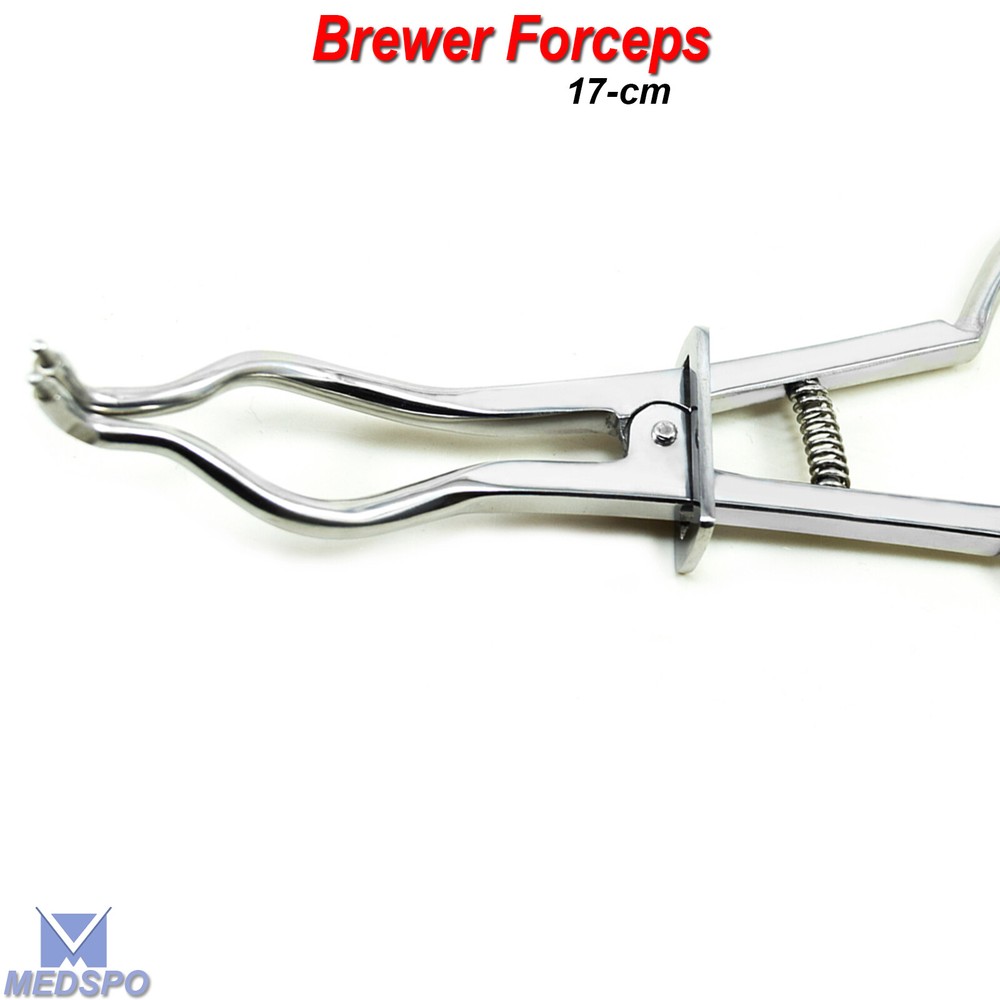 Dental Rubber Dam Brewer Type Clamp Forceps Palmer Endodontic Instruments