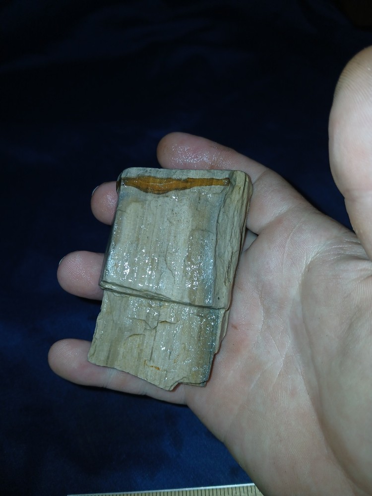 4 oz Texas Petrified Wood