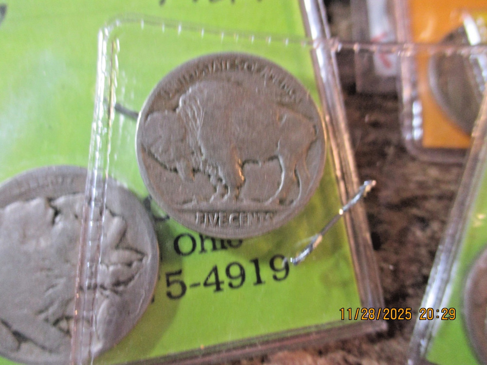 1924 BUFFALO NICKEL VG TT