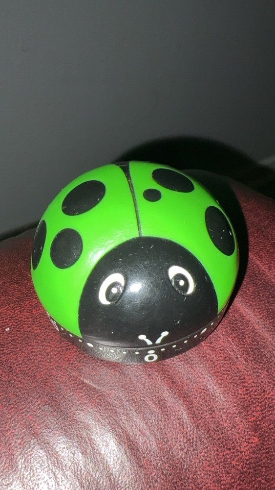 Novelty 60 Minute Timer Cute Green - Black Lady Bug