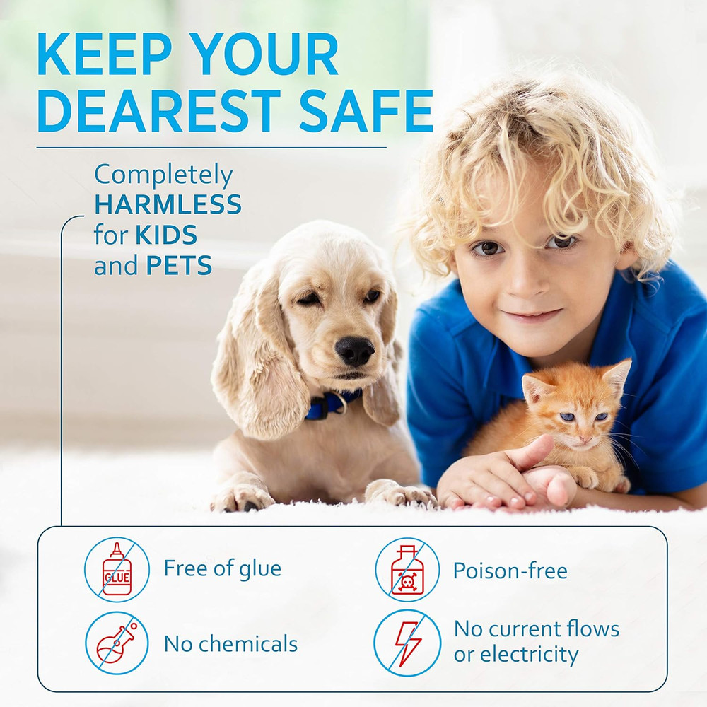 Humane Mouse Traps Catch and Release That Work Mouse Traps No Kill Live Mouse Tr