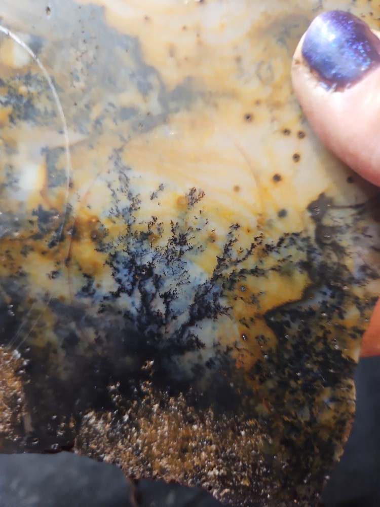 Dendric Slab Specimen (7oz)