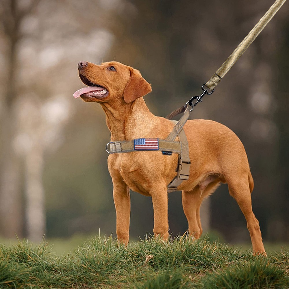 Annchwool No Pull Dog Harness with Soft Padded Handle,Reflective L, Brown
