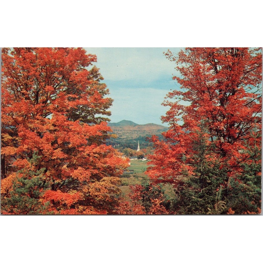 Stowe Vermont Postcard PC521