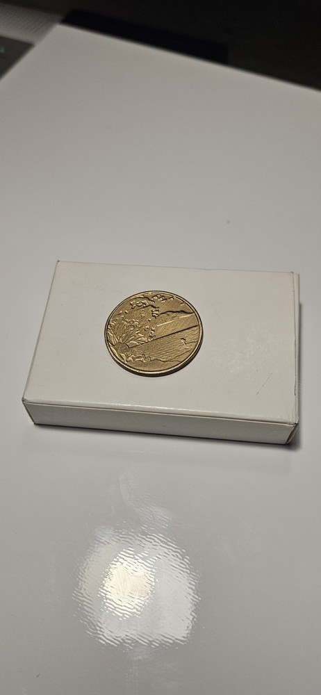 Serenity Recovery Program Token Bronze Peace Within the Storm