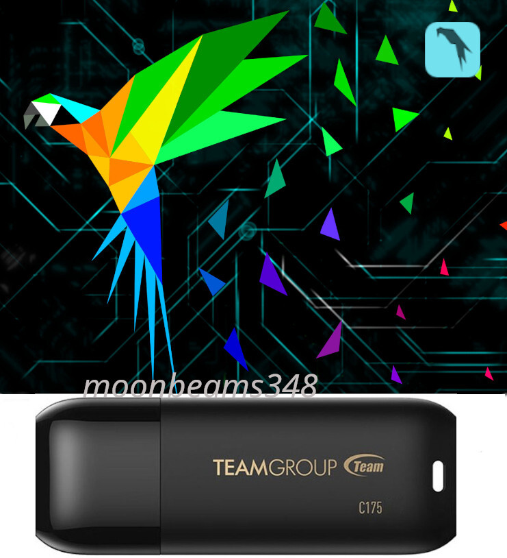 Parrot 6.4 Security OS 64 Bit USB 32 Gb 3.2 Bootable Live Linux Penetration