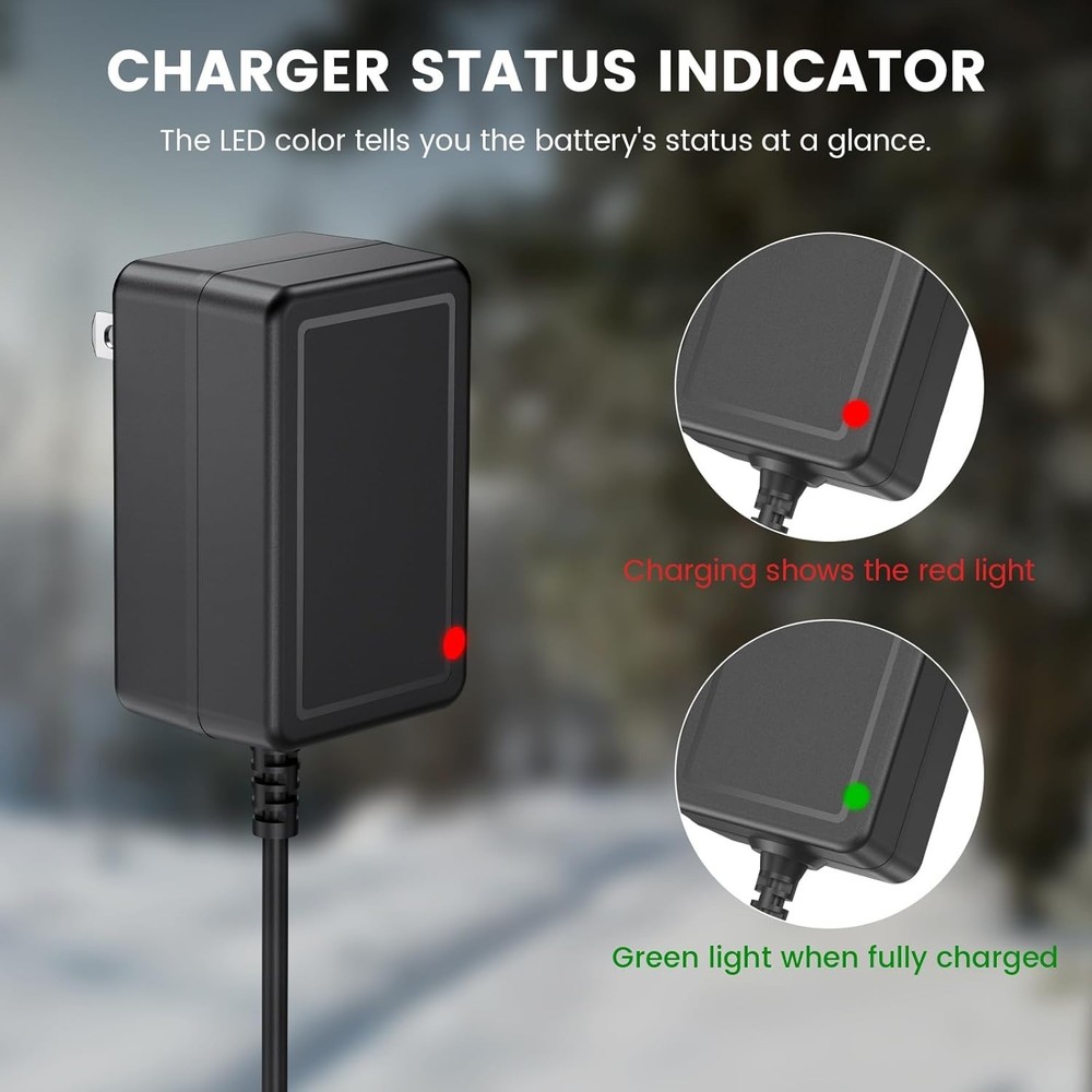 6V Battery Replacement Charger with LED Indicator & Self-Adapting Plug Design