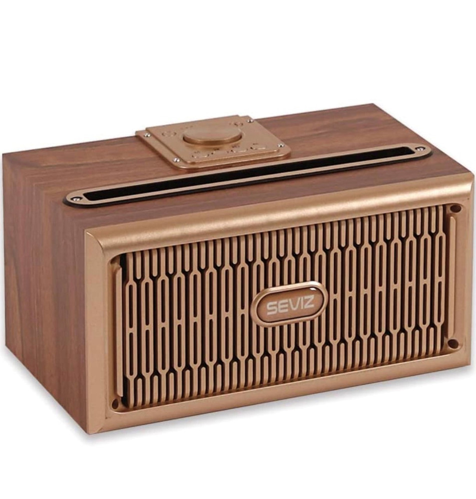 Mini Retro Design Bluetooth Speaker & FM Radio W06