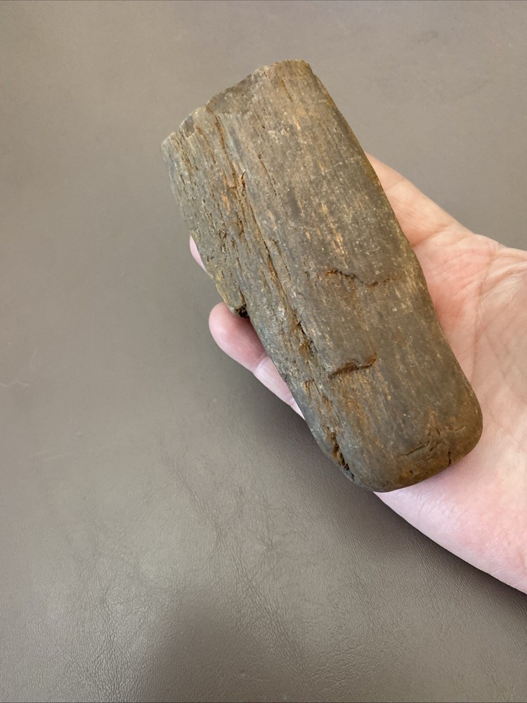 Petrified Wood