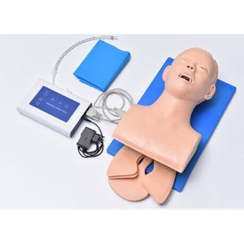 Airway Management Trainer Intubation Manikin Study Teaching Model for Training