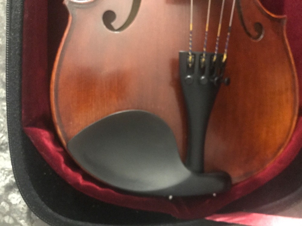 Never used viola, case and bows