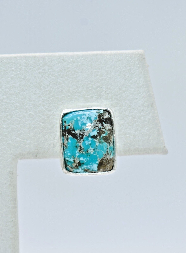 Campo Frio Turquoise Sterling Silver Rectangular Earrings by Ryan Schoolfield