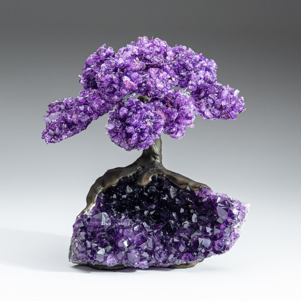 Amethyst Clustered Gemstone Tree on Amethyst Matrix (The Protection Tree) 7"