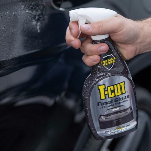 Final Glaze, Paint Sealant, 16.9 fl oz