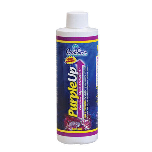 RA PurpleUp - 8 fl oz