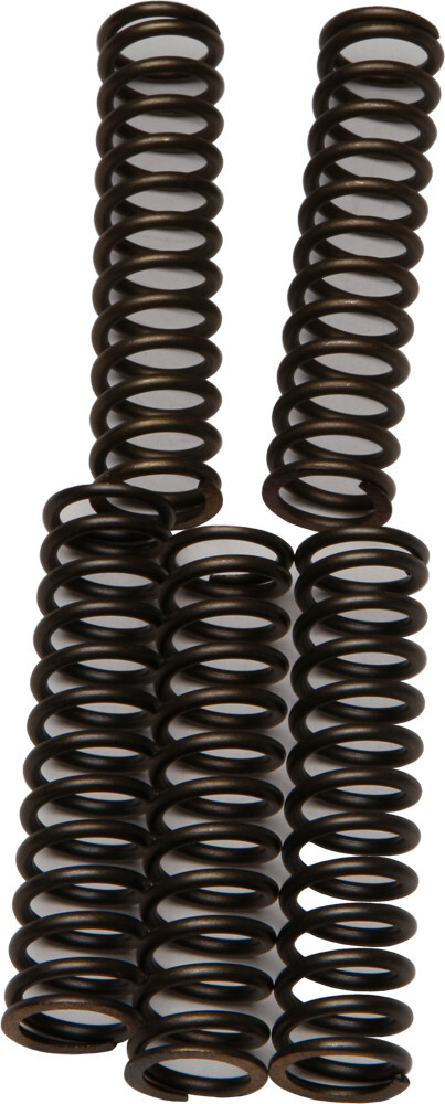 EBC CSK110 Clutch Springs CSK110