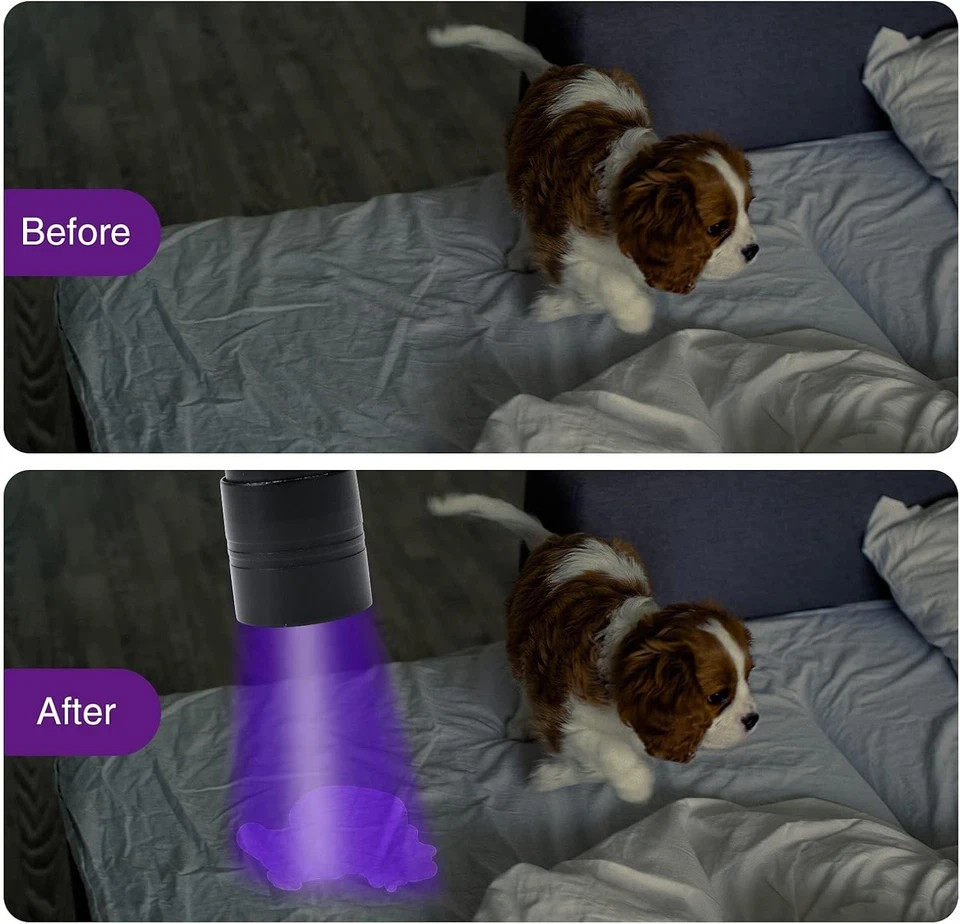 COSOOS 2 Pack UV Flashlight, 12 LED Handheld Blacklight 2 Pack, Black