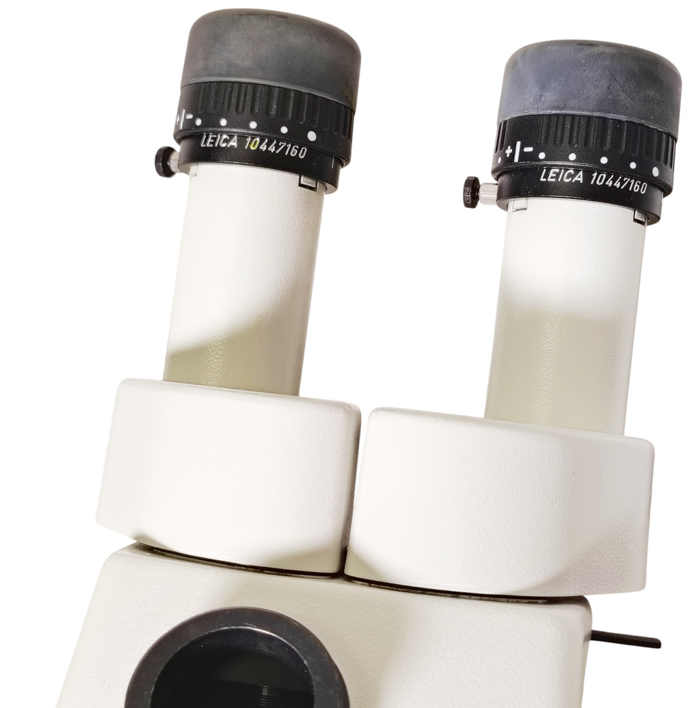 Leica MZ95 Stereo Microscope