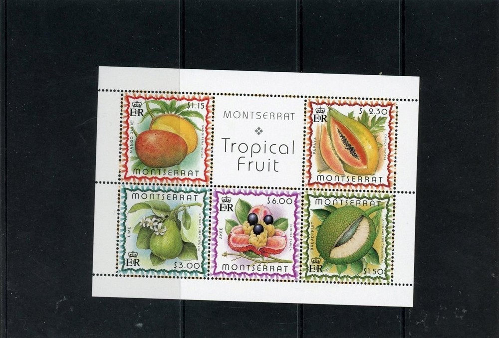 Montserrat 1990 Fruit Scott# 988a Mint NH