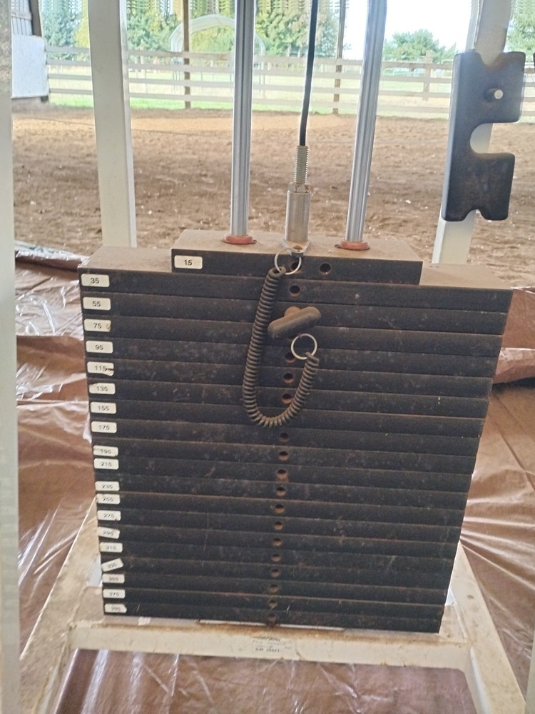 Hammer Strength Select Standing Calf 405 Lb Stack