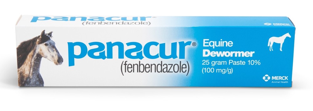 Panacur Equine Dewormer, 25 g