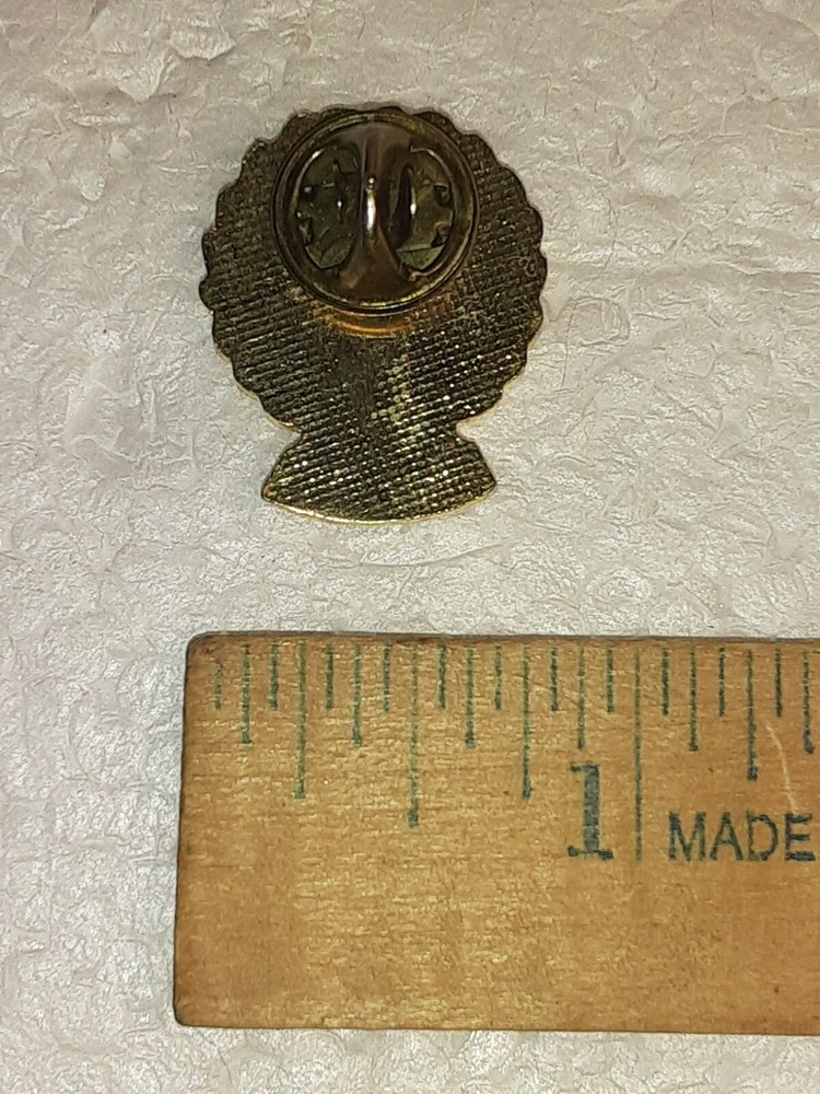 VINTAGE NURSING ASSISTANT HHOPS CERTIFIED LAPEL PIN