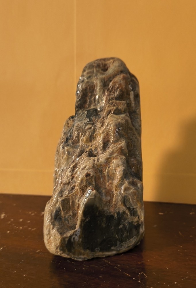 Petrified Wood Approximately 3 In Tall
