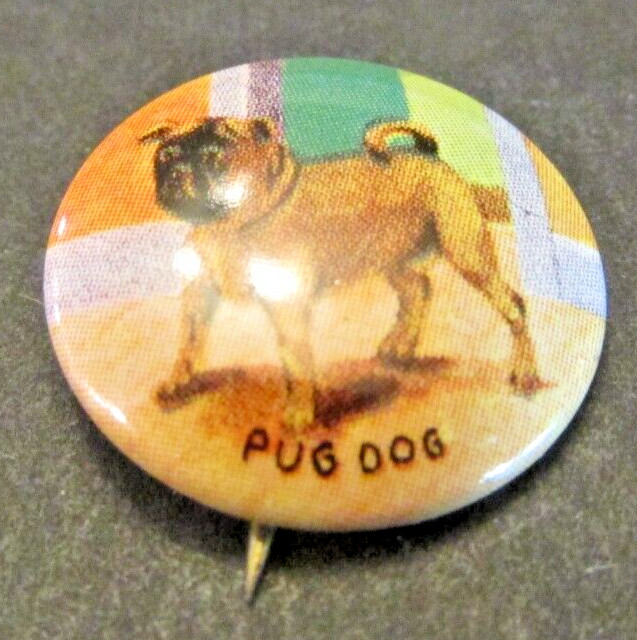 VTG 1930s PUG DOG Pinback Button