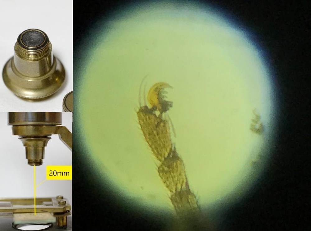 microscope antique collectible Peter Dolond's achromatic microscope