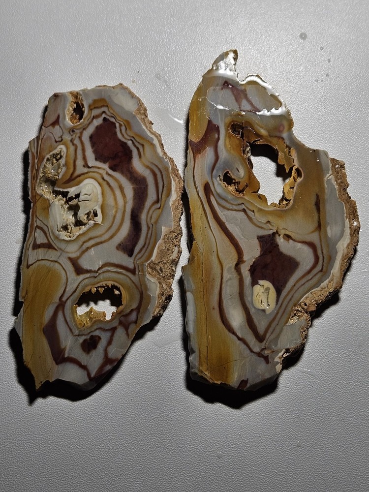 Rhyolite Two Lapidary Slabs 105 Grams