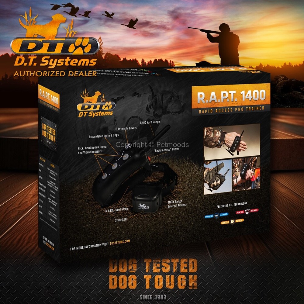 DT Systems Rapid Access Pro Trainer RAPT 1400