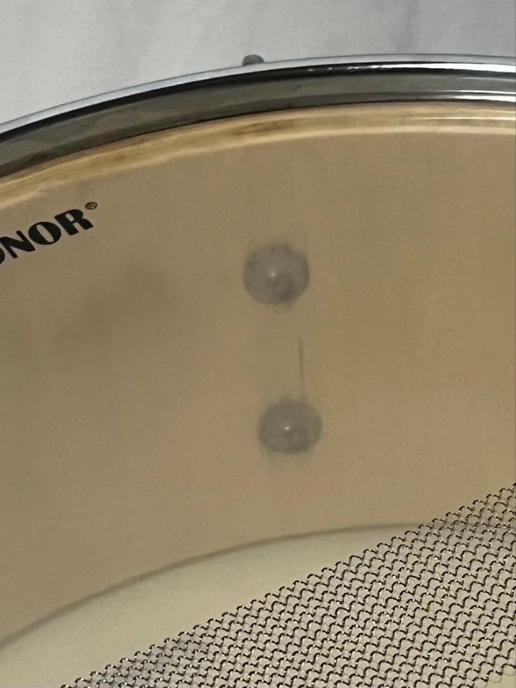 SONOR snare drum